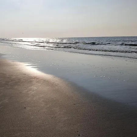 Mimosa2, Klepperstee In