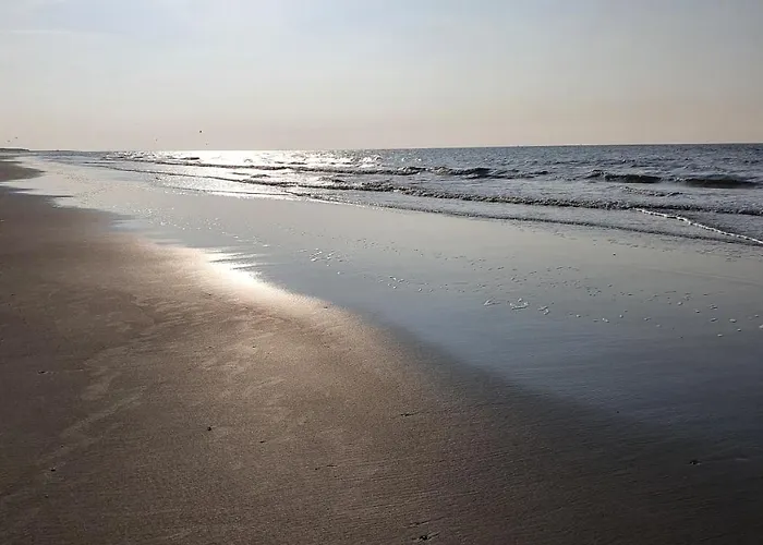 Mimosa2, Klepperstee In